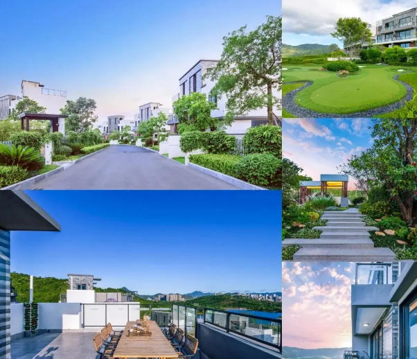 青鱼公司助力碧桂园超低能耗住宅保温板集采与全周期服务合作